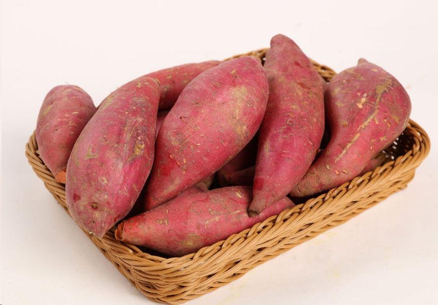 PATATE DOLCE 13.8KG番薯